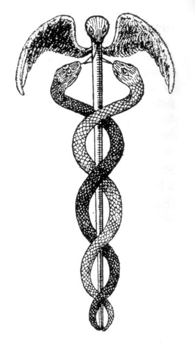 caduceus staff of hermes.